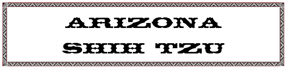 Text Box: Arizona
Shih Tzu